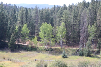 Enlarge photo 80