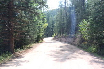 Enlarge photo 81