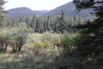 Enlarge photo 134