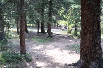 Enlarge photo 135