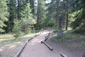 Enlarge photo 137