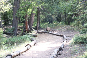 Enlarge photo 138