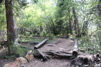 Enlarge photo 140