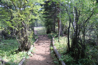 Enlarge photo 141