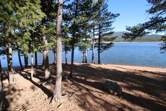 Enlarge photo 33