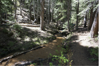 Enlarge photo 152