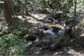 Enlarge photo 153