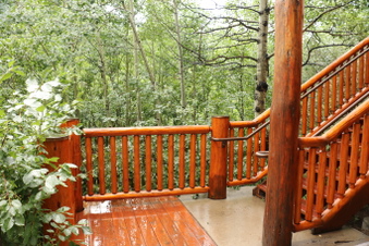 Enlarge photo 30