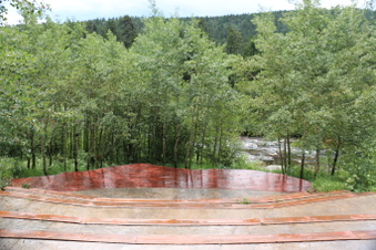 Enlarge photo 47