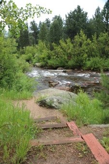 Enlarge photo 49
