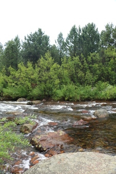 WILD BASIN LODGE