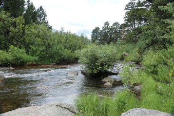 Enlarge photo 52