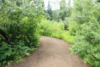 Enlarge photo 98