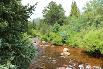 Enlarge photo 105