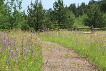 Enlarge photo 109