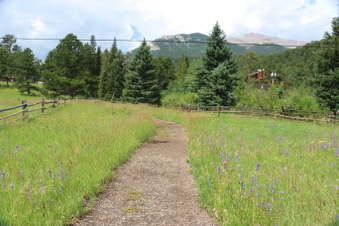 Enlarge photo 110