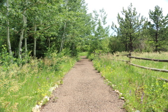 Enlarge photo 112