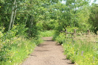 Enlarge photo 113