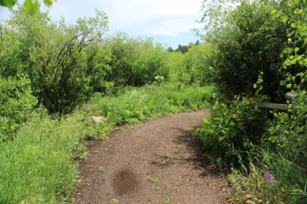 Enlarge photo 114