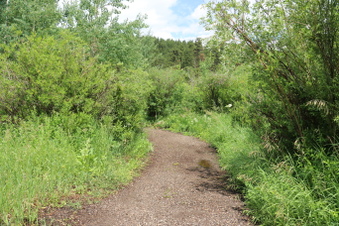 Enlarge photo 115