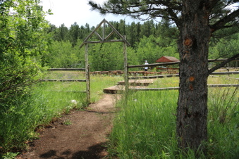 Enlarge photo 116
