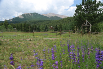 Enlarge photo 120