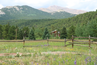 Enlarge photo 121