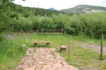 Enlarge photo 122