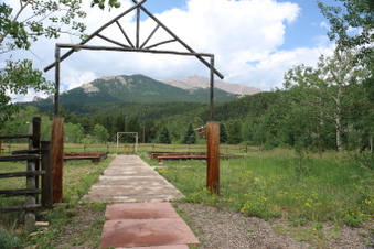 Enlarge photo 124