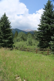 Enlarge photo 136