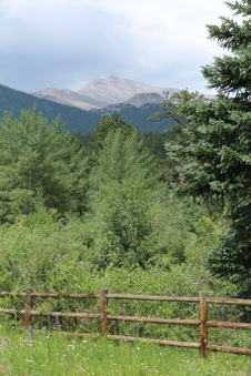 Enlarge photo 138