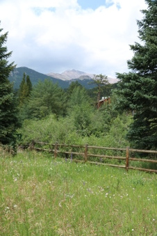 Enlarge photo 137