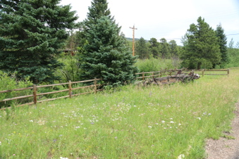 Enlarge photo 141