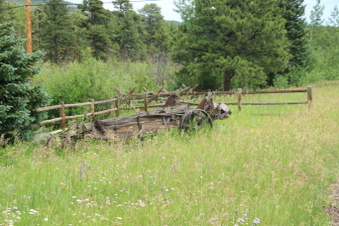 Enlarge photo 142