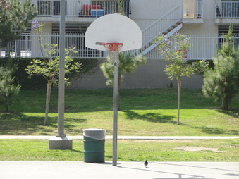 Enlarge photo 5
