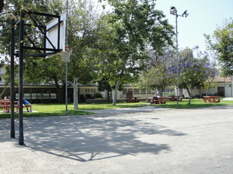 Enlarge photo 5