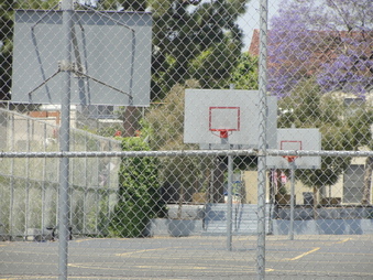 Enlarge photo 35