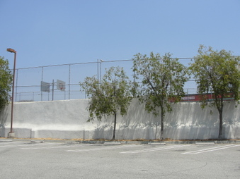 Enlarge photo 37