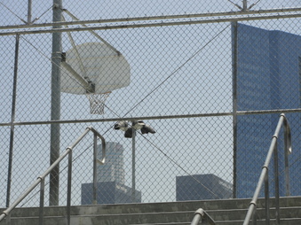 Enlarge photo 33