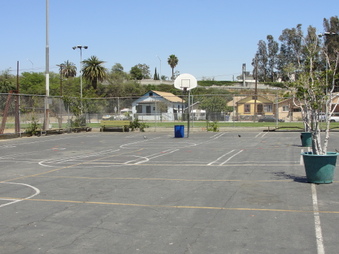 Enlarge photo 3
