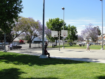 Enlarge photo 13