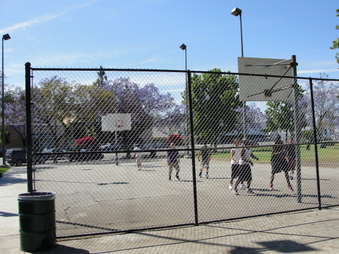 Enlarge photo 15