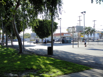 Enlarge photo 7