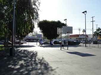 Enlarge photo 11