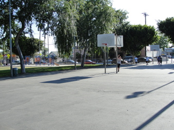 Enlarge photo 13