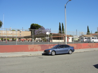 Enlarge photo 17
