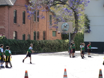 Enlarge photo 5