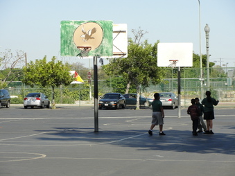 Enlarge photo 15