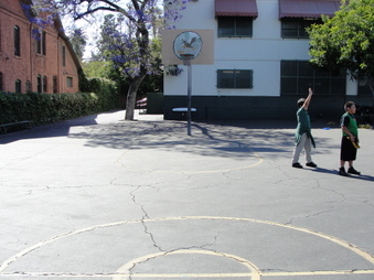 Enlarge photo 21
