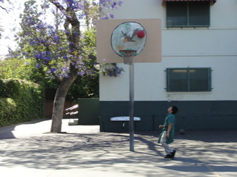 Enlarge photo 22